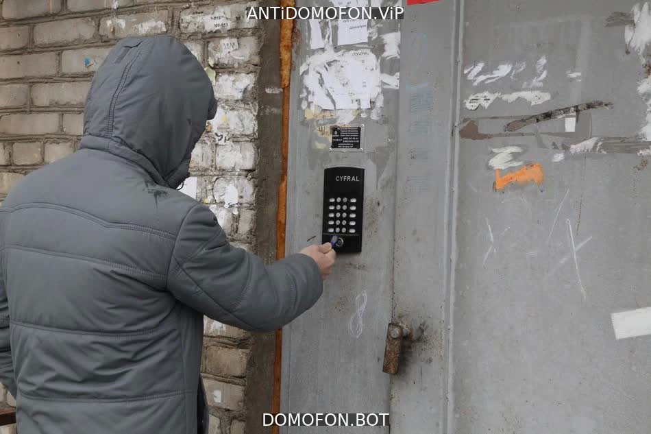Домофон в подъезде видео